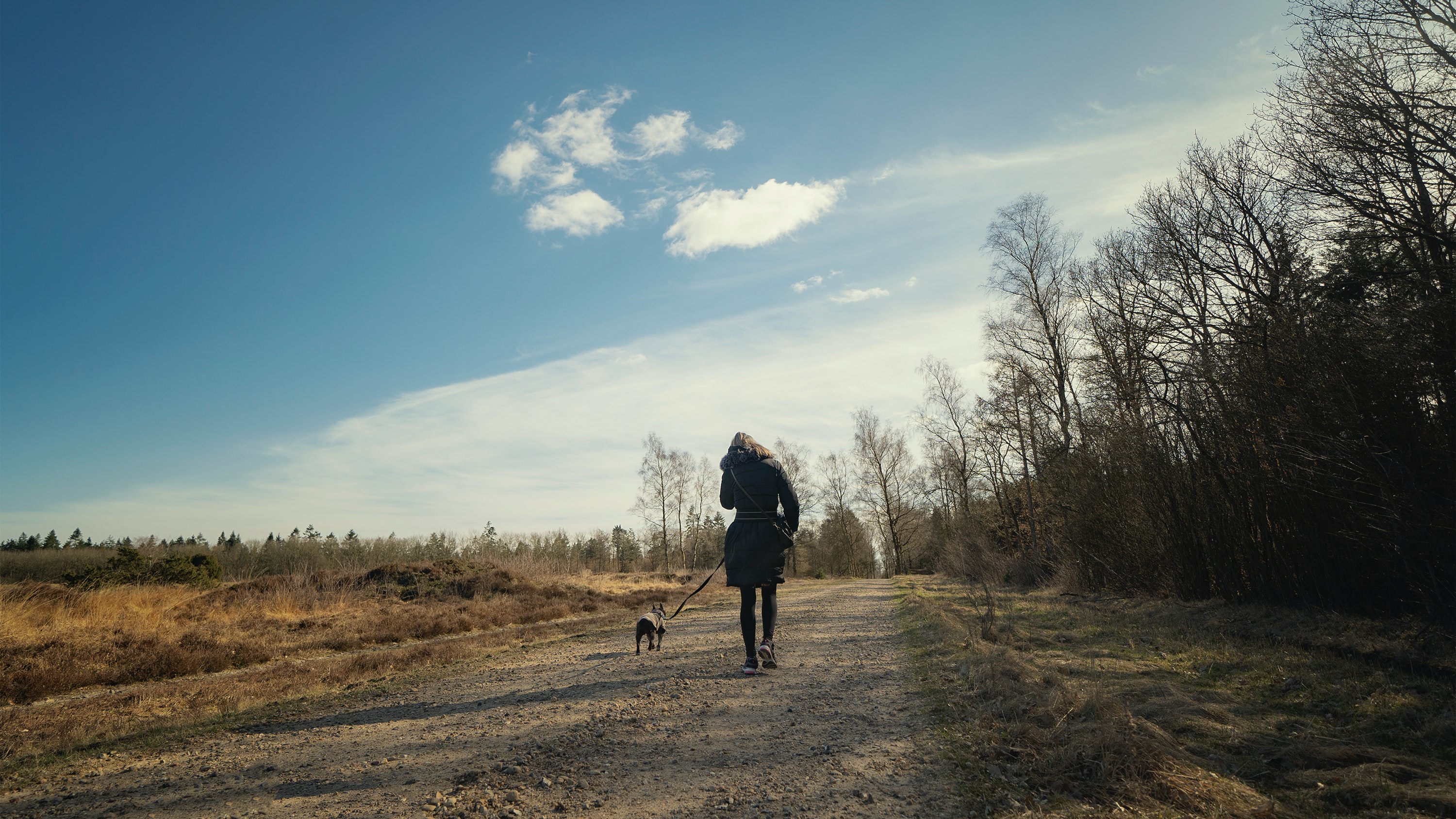 Terra La Pej Image 1